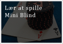 Mini Blind regler